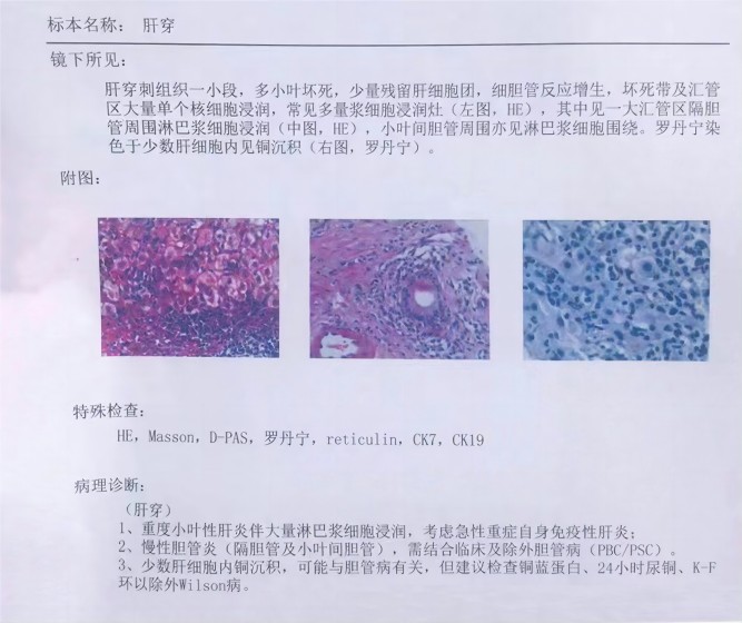 微信图片_20231010234749 - 副本(1).jpg