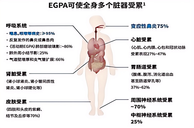 微信截图_20241024112744(1)_副本.png