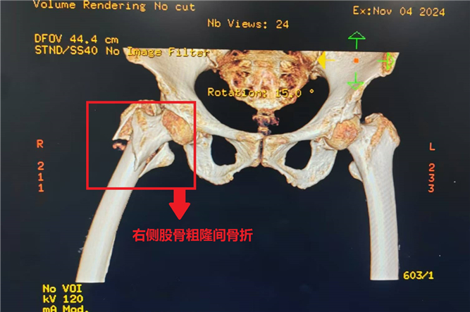 微信图片_20241121174905_副本.jpg