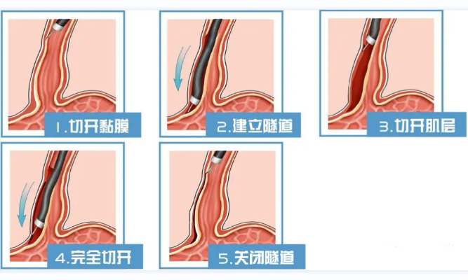 微信图片_20241217092038_副本.png